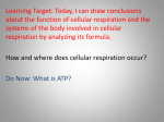 Cellular Respiration and the Systems of the Body Involved