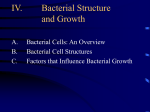 Bacterial Structure and Growth