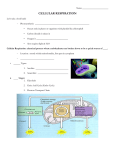 Honors Guided Notes