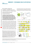 a tool for fast neural control derived from Volvox