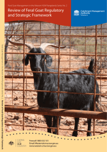 Review of Feral Goat Regulatory and Strategic