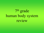 7th human body system unit exam review ppt Human Body