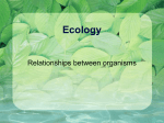 Ecology