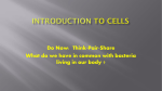 Introduction to Cells