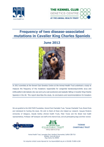 Frequency of two disease-associated mutations in Cavalier King