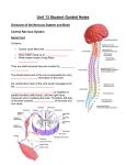 Unit 13 Student Guided Notes Divisions of the Nervous System and