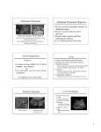 Abdominal Ultrasound Lecture