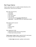 Plant Project Rubrics