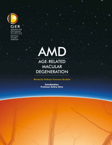 pdf version of the amd book