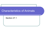 Characteristics of Animals