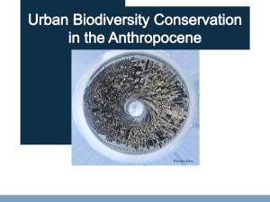 What is biodiversity? Why is it important? What threatens biodiversity