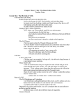 Chapter Three: Cells: The Basic Units of Life Teacher Notes Lesson