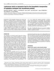 Lactococcus lactis as expression host for the biosynthetic