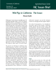 Wild Pigs in California: The Issues - Agricultural Issues Center