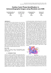 Cardiac Cycle Phase Identification in Echocardiography Images