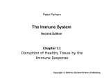 The Immune System Second Edition