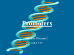 Structure of promoter
