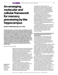 An emerging molecular and cellular framework for memory