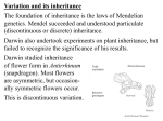 Mechanisms in variability