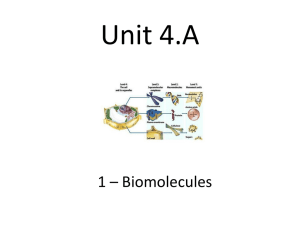 Biomolecules