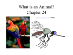 What is an Animal? Chapter 25