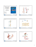 Pharmacology for Nurses