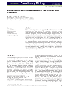 Three epigenetic information channels and their different roles in