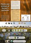 Wetland Biodiversity Brochure