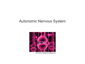 autonomic nervous system, 032117