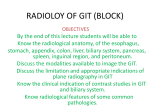 Ridology of GIT -imp points