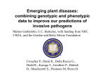 Combining genotypic and phenotypic predictions of invasive