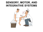 SENSORY, MOTOR, AND INTEGRATIVE SYSTEMS