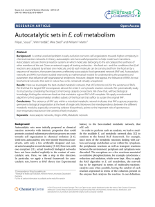Autocatalytic sets in E. coli metabolism