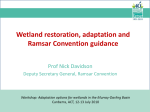 Wetland restoration, adaptation and Ramsar Convention