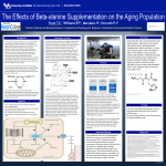 The Effects of Beta-alanine Supplementation on the Aging Population