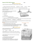 Chapter 10 STUDY GUIDE: Volcanoes