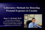 Laboratory Methods for Detection of Prenatal Exposure to Cocaine