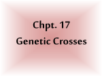 Genetic Crosses