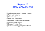 Chapter 25 LIPID METABOLISM