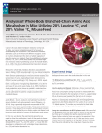 Analysis of Whole-Body Branched-Chain Amino Acid Metabolism in