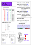 Y4 prompt sheet