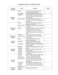Comparison Frame: The Body Systems