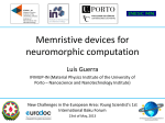 Neuromorphic computation - New Challenges in the European Area