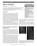 Plant Cell Walls