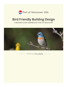 Bird Friendly Building Design