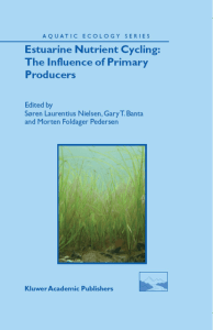 Estuarine Nutrient Cycling - The Influence of
