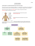 Information Processing SG AK