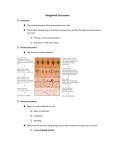 Rangeland Succession Noteguide