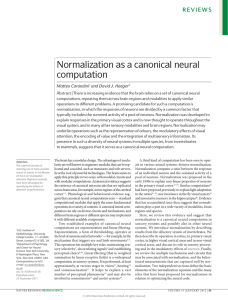 Normalization as a canonical neural computation
