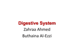 Digestive System